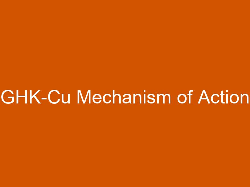GHK-Cu Mechanism of Action in Tissue Repair