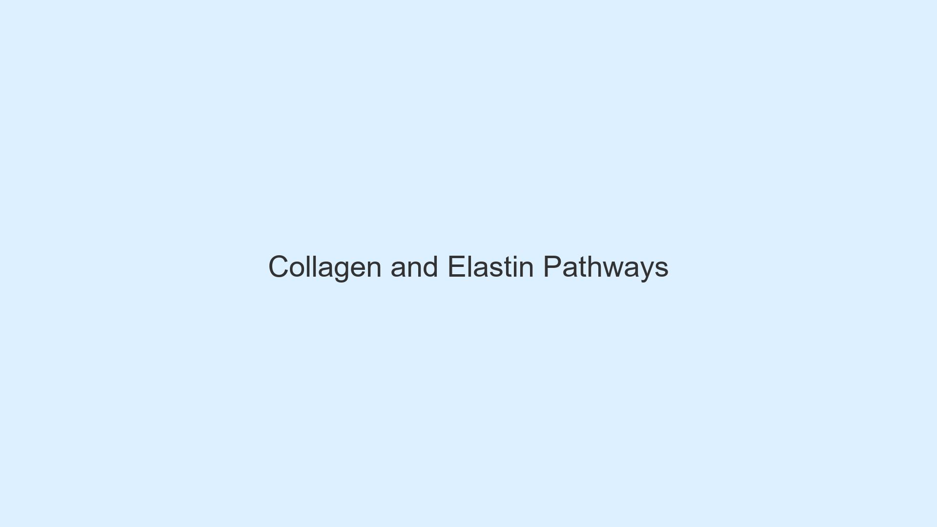 Collagen and Elastin Pathways